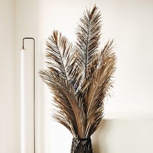 Dried Palm Leaf Decor (LARGE)